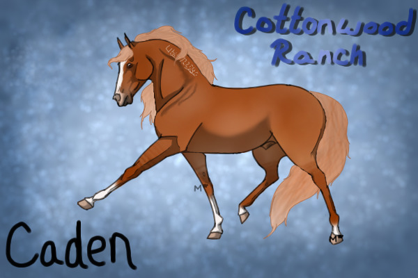 Mustang Makeover: #8395 - Caden