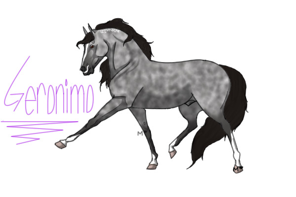 Sterling Silver a.k.a Geronimo: The Horse with a Moustache