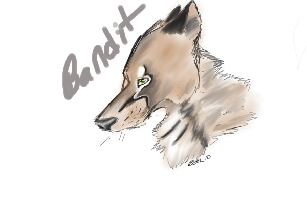 Bandit