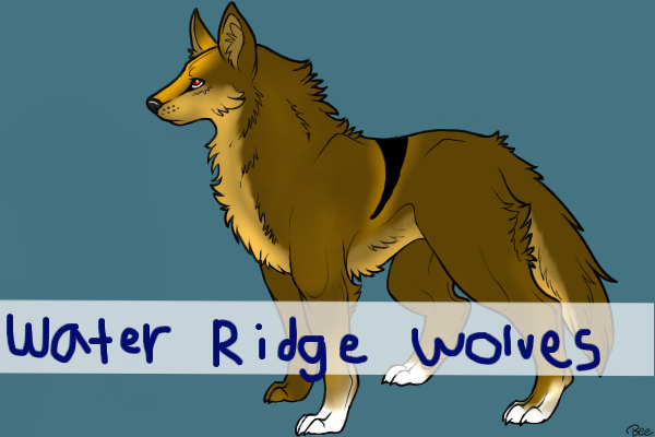 ~~Water Ridge Wolves~~