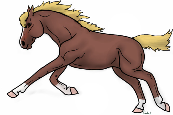 horse