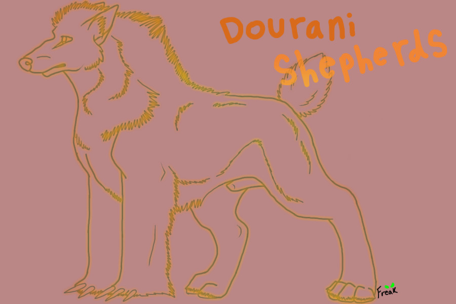 Dourani Shepherds [Grand Opening- Kickstarter released]