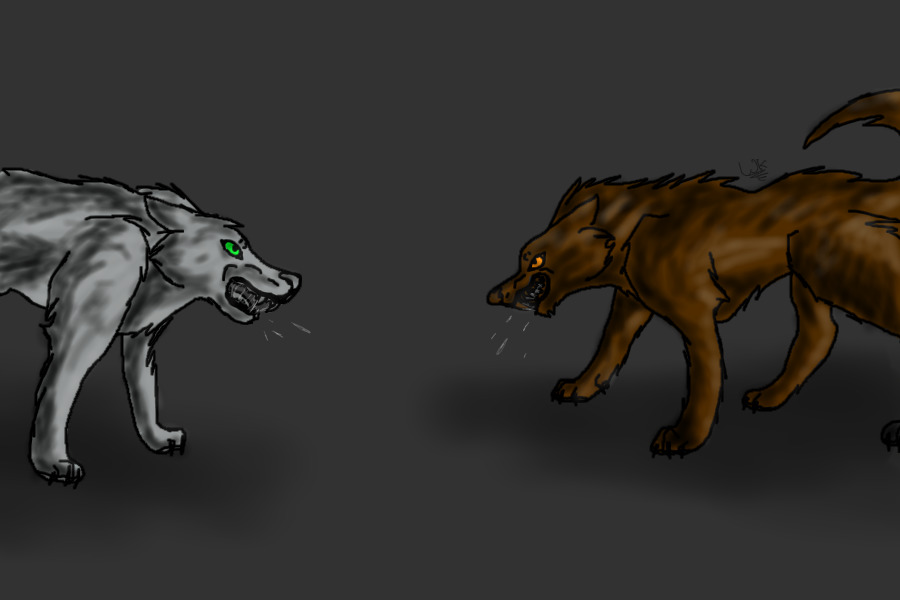 Wolf fighting scene *Re-colored*