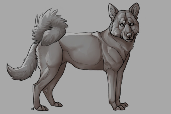 for canis,