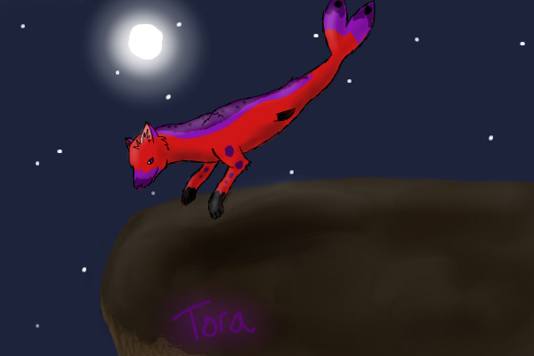 Tora-for Kiba's Women