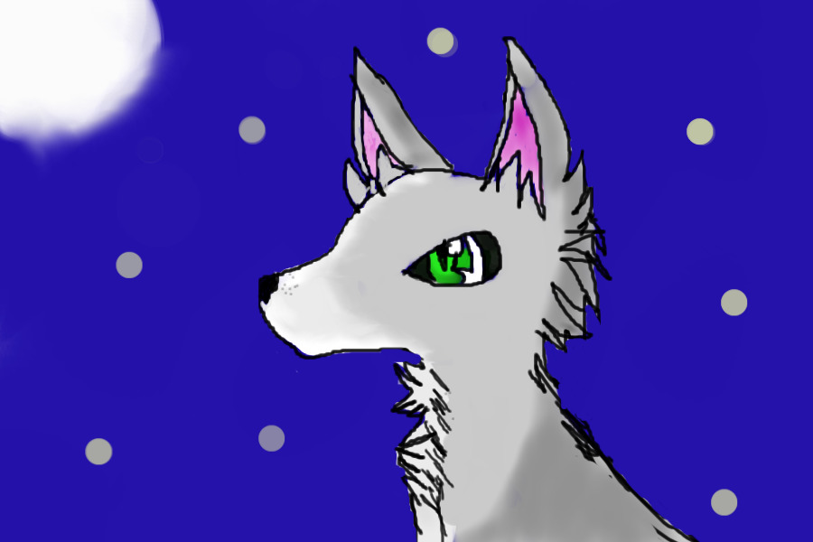 Solemn Wolf, Solemn Moon
