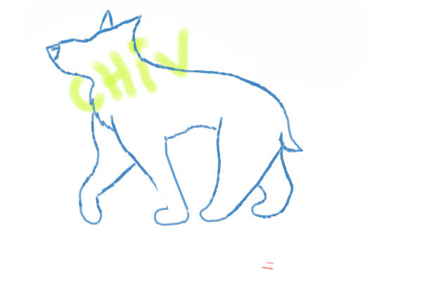 Dog Anat Sketch