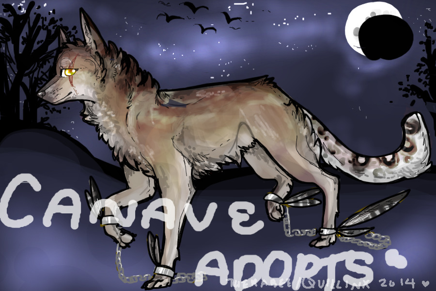 ﻿☣Ｃａｎａｖｅ  Ａｄｏｐｔｓ☣