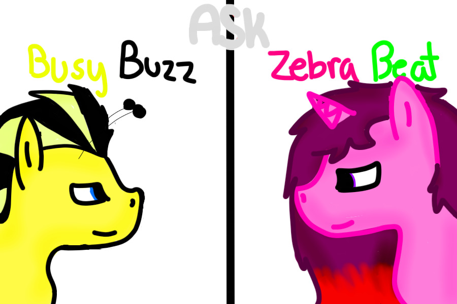 Ask Zebra Beat and Busy Buzz