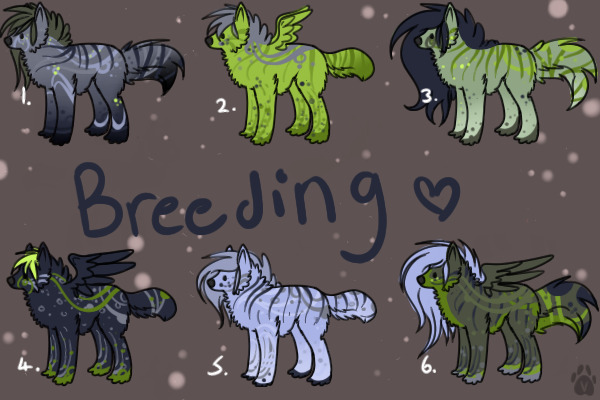 Breeding for Kiwilady