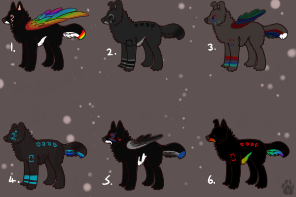 Breeding for Kiwilady