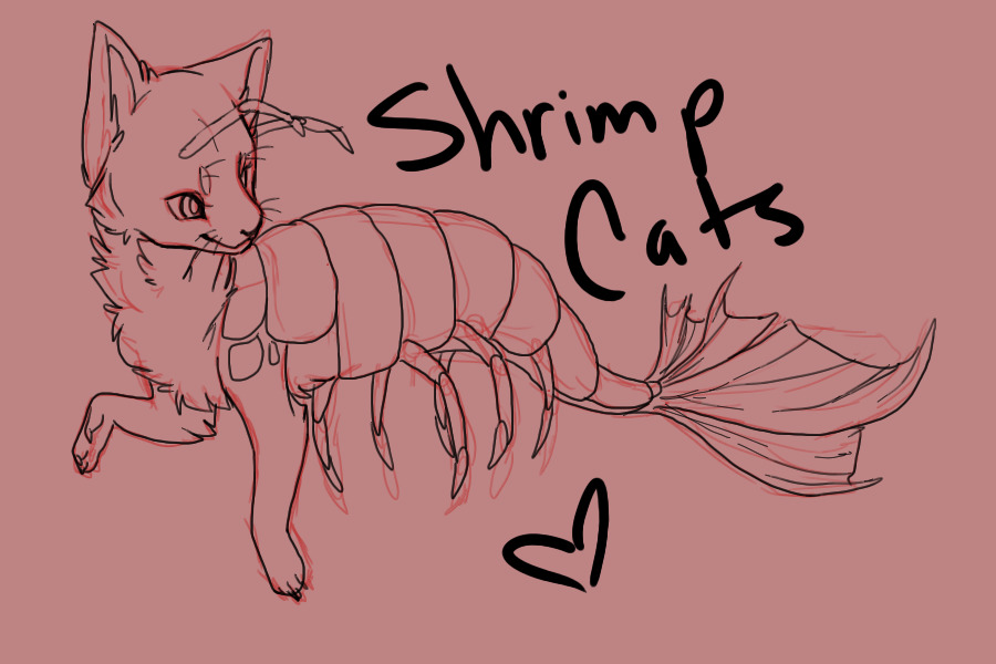 Shrimp cat fan art