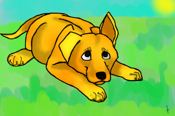 Puppy