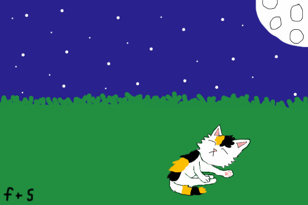 Sleeping Under The Stars
