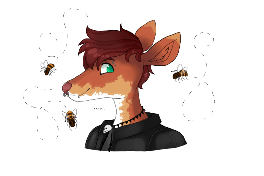 bbbzzzzzzz