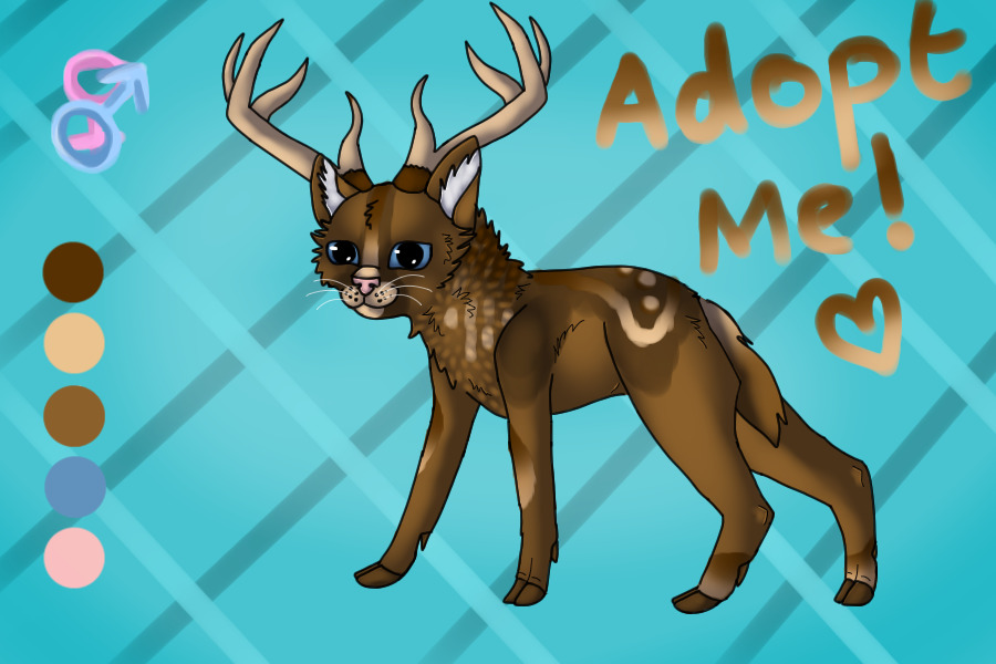 Felifawn #4 UP FOR ADDOPTION!