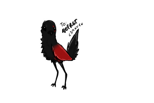 Nefret's custom birdie4