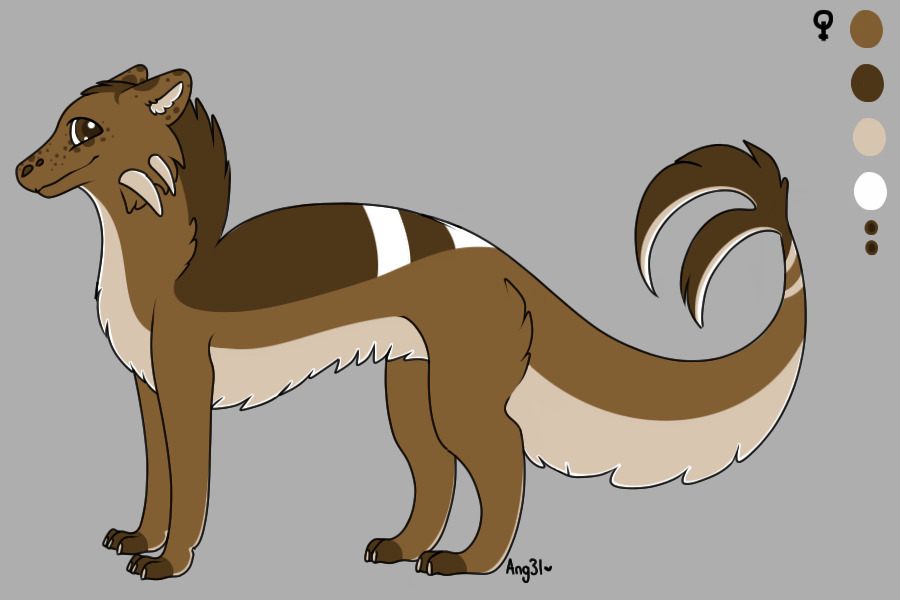 Spykra Custom #4 - Cocoa