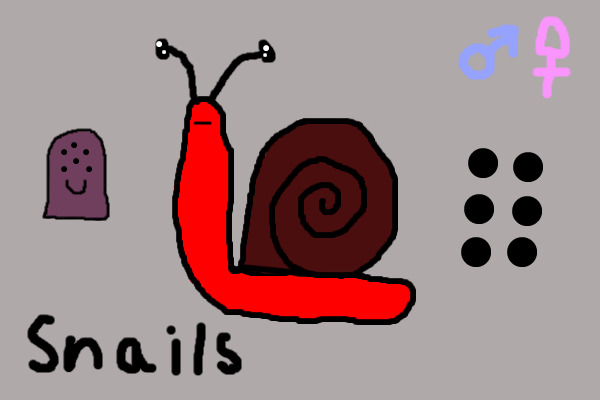The Snail Society