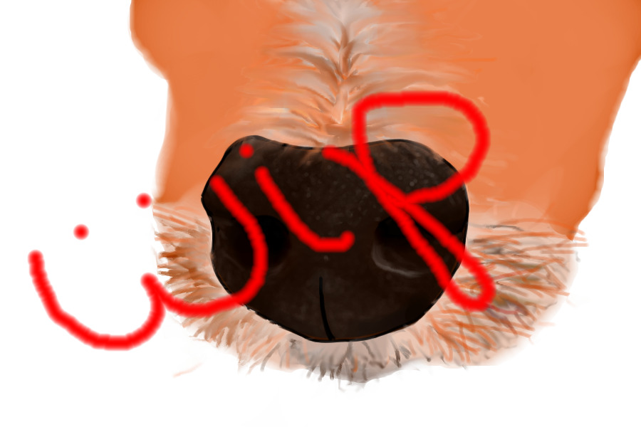 WIP