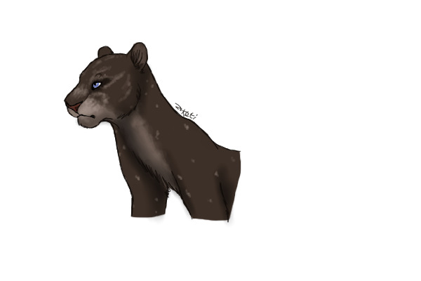 mvua headshot