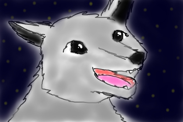 Happy wolf
