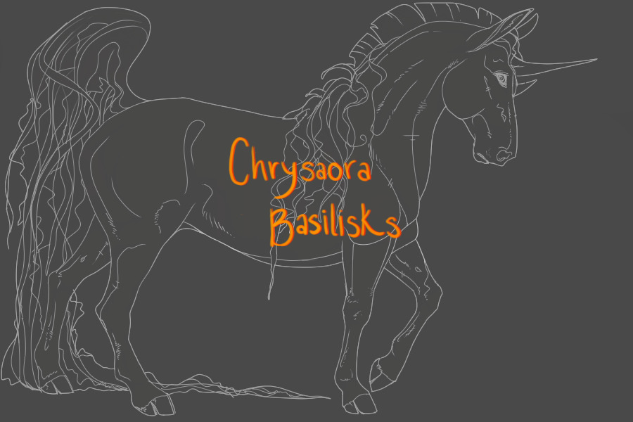 Chrysaora Basilisks | Main Page
