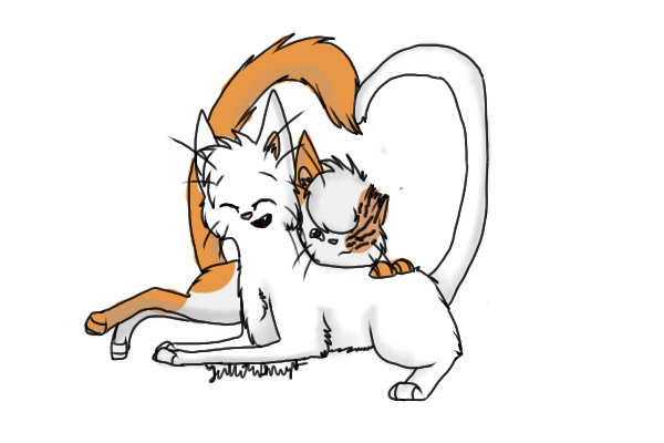 Brightheart x Cloudtail