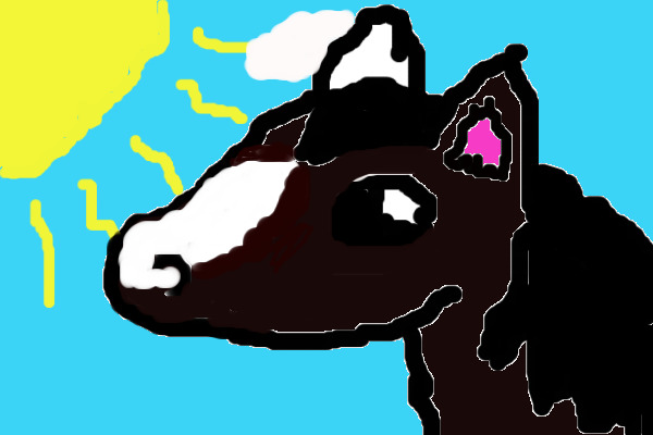 horse in the sunlight