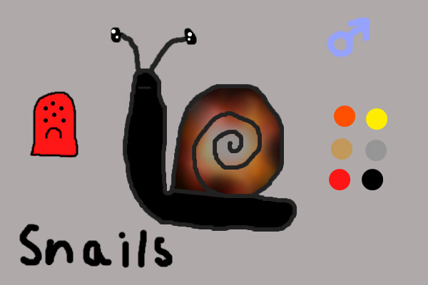 Snail #6 ADOPTED
