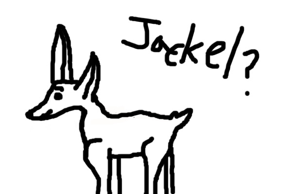 A jackal?