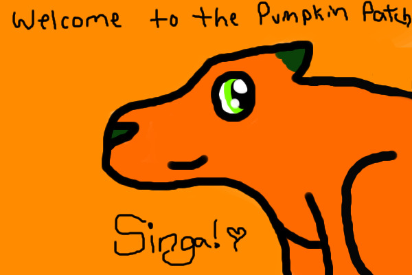Pumpkin-Patch Singa