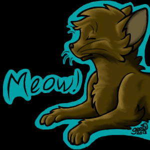 Meow <3