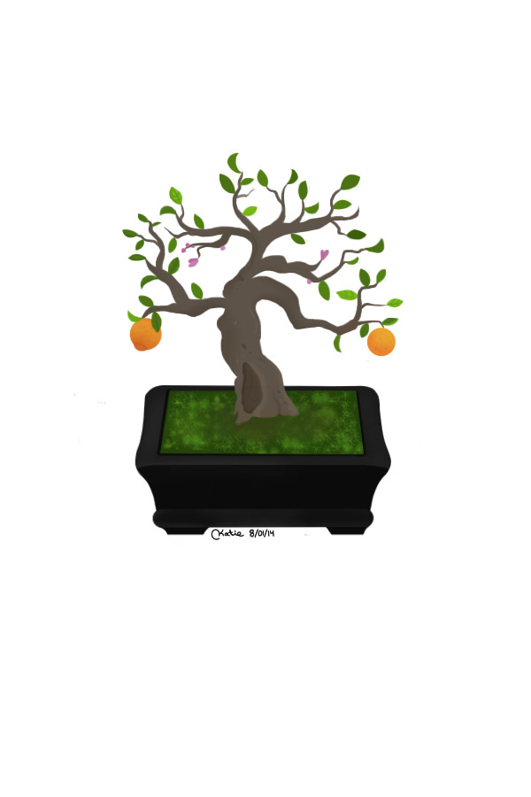 Little bonsai