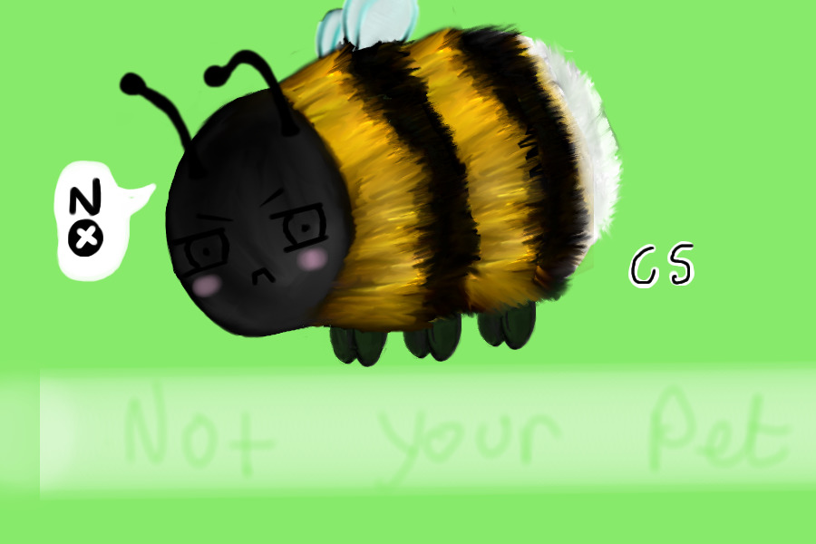 Hey! UR bee can I own you?