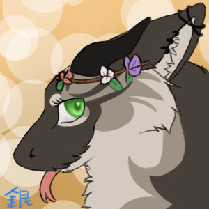 Commission for [Ghostcat]
