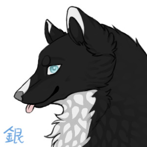 Midnight icon