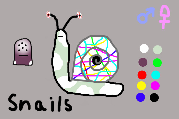 Snail #11