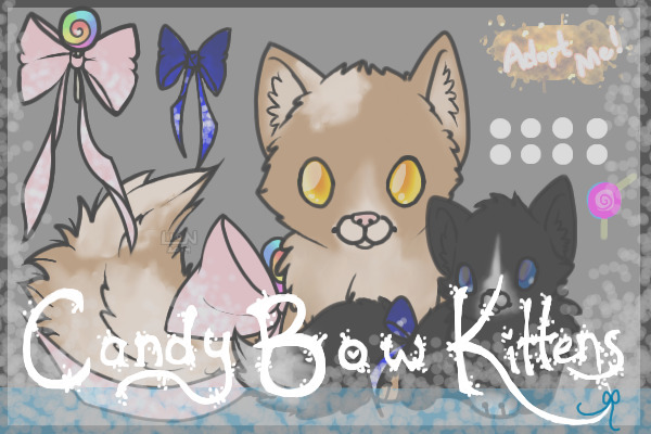 Candy Bow Kittens! - New owner [SEE V.2]