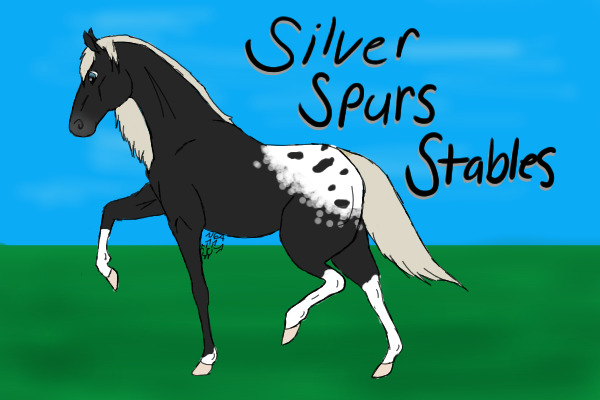 Silver Spurs Stables | Horse Adoptables | Re-Opening