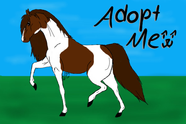 SSS Horse #1: Brown and White Paint