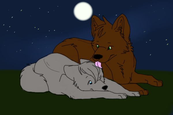 Archer x Rose