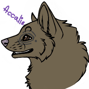 I said I was going to make another Accalia coloring >:)