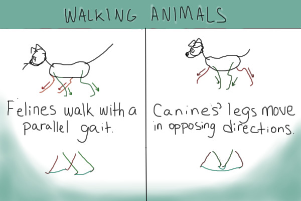 walking animals guide