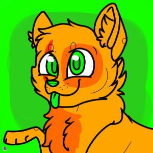 Fox Cat's avatar :3