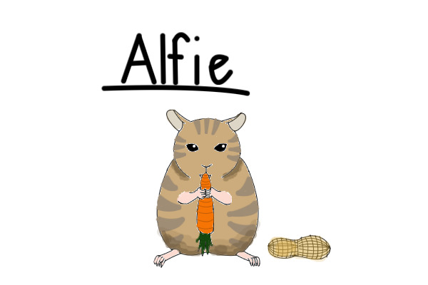 Alfie