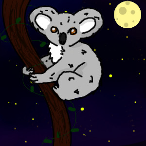 Koala at Night