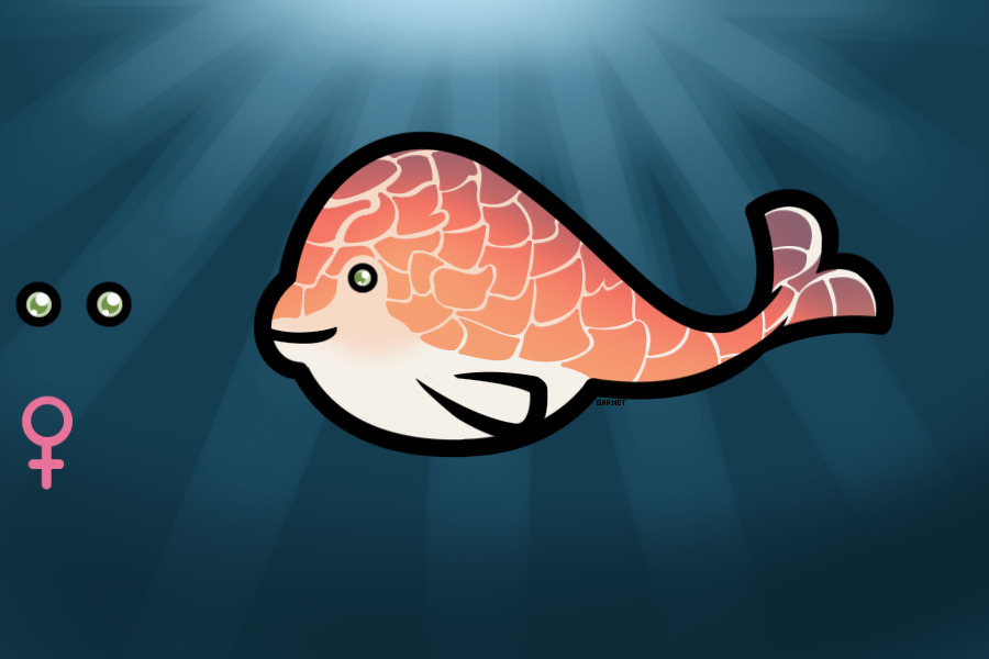 Narball #5 - Golden Wolves' Katmandu