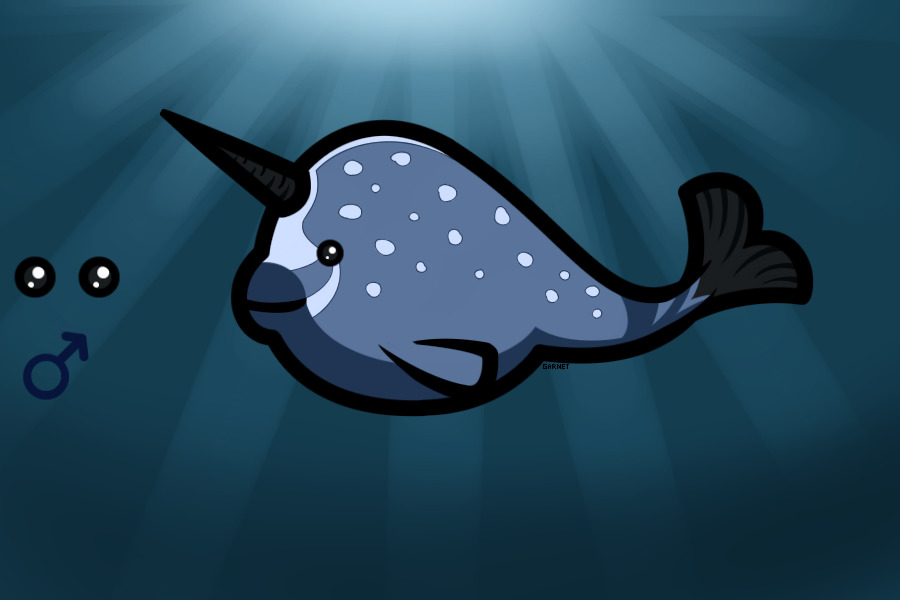 Narball #6 - She Wolf Warrior's Nortin