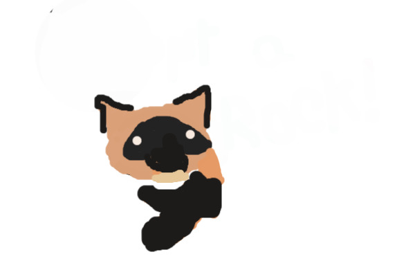 Shadow_PAw's Rock
